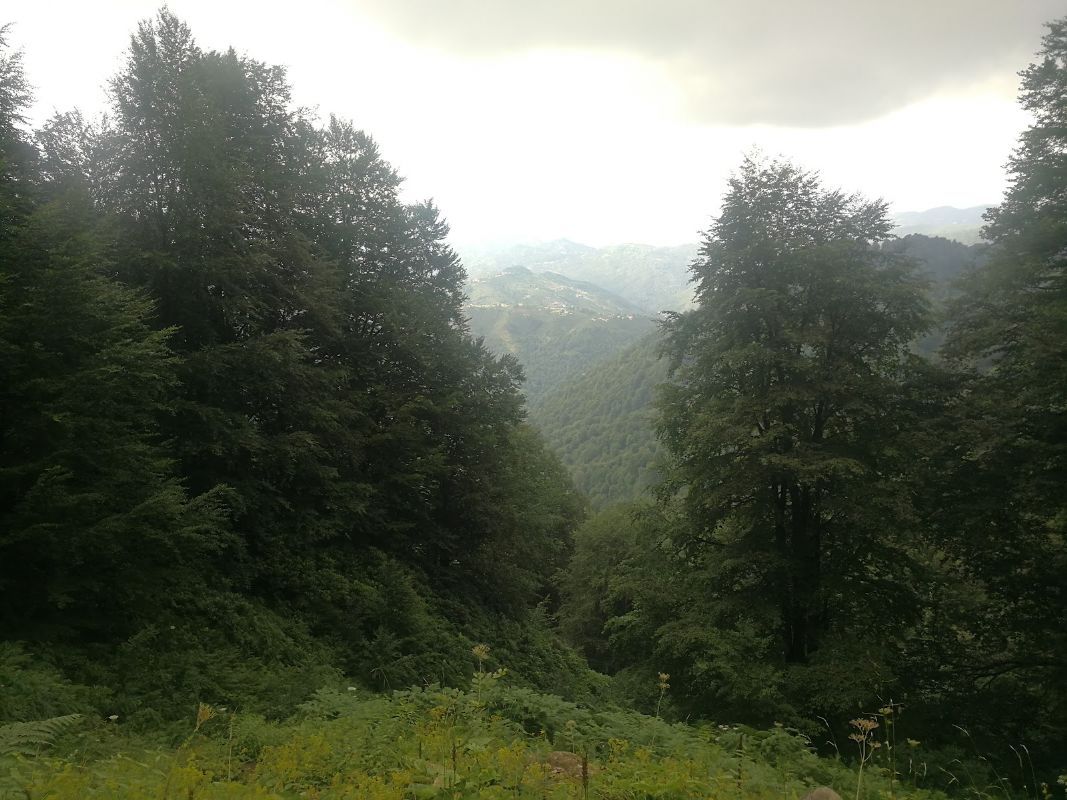 Yılançatı Kanyonu Tabiat Parkı