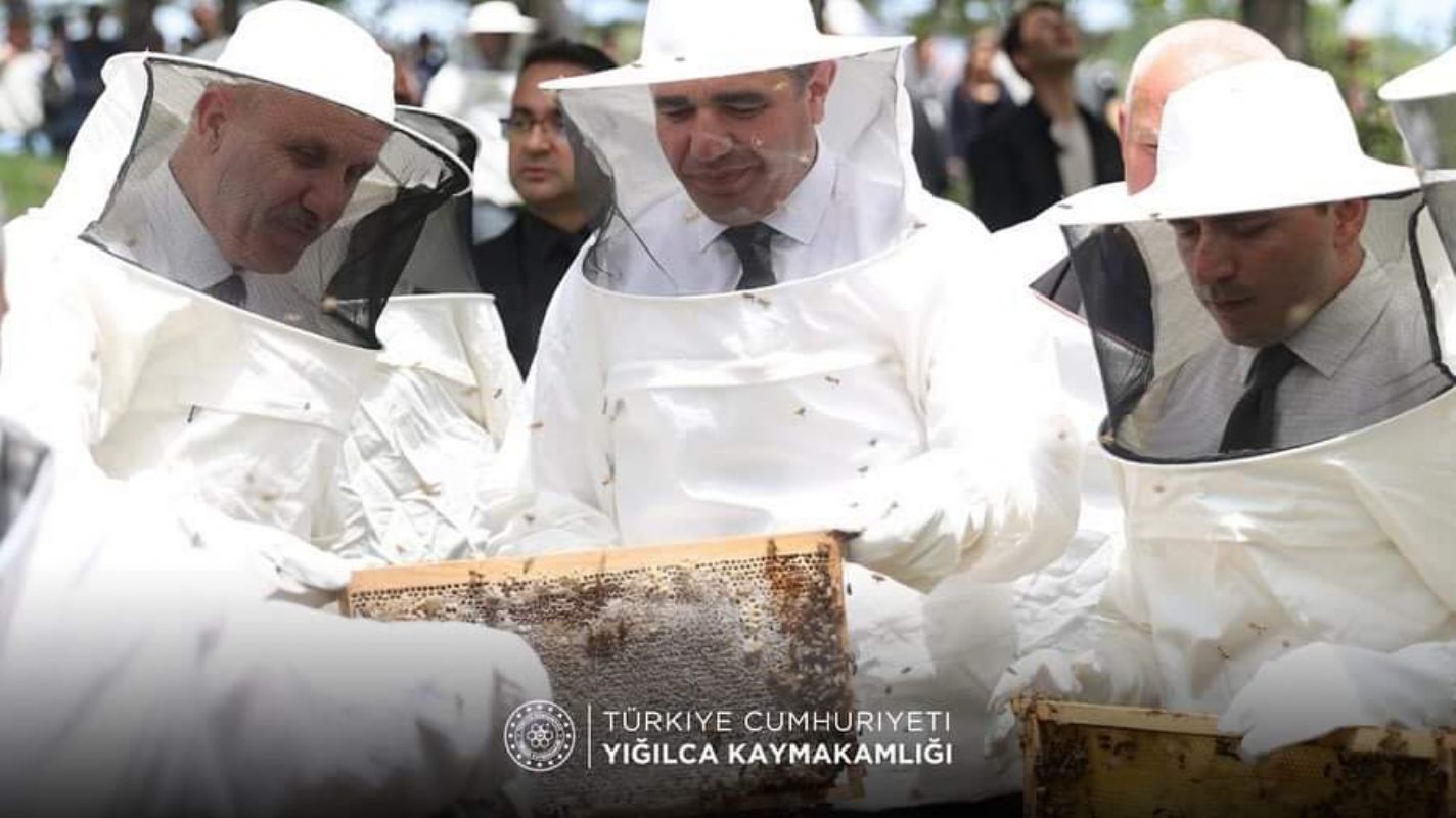 Yığılca Arısı ve Balı